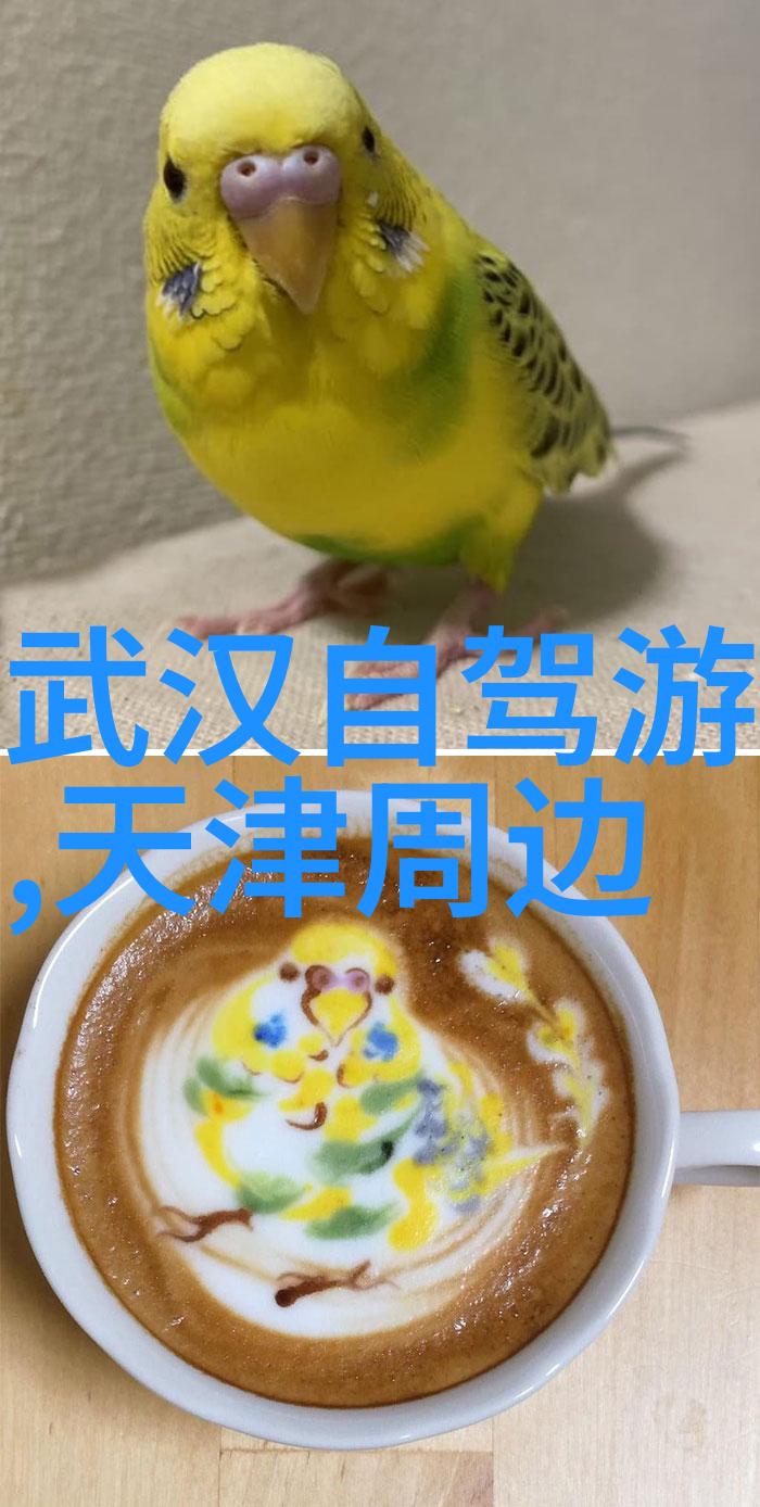 世界奇观巡礼揭秘十大壮阔景点