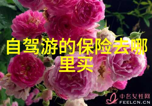 精准定位创意爆发探索背后的故事和策略深圳第一流的团队活动组织者