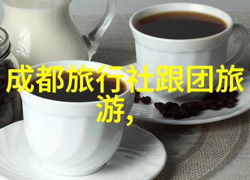 折叠自行车的隐忧维修频率高安全性问题及环境影响分析