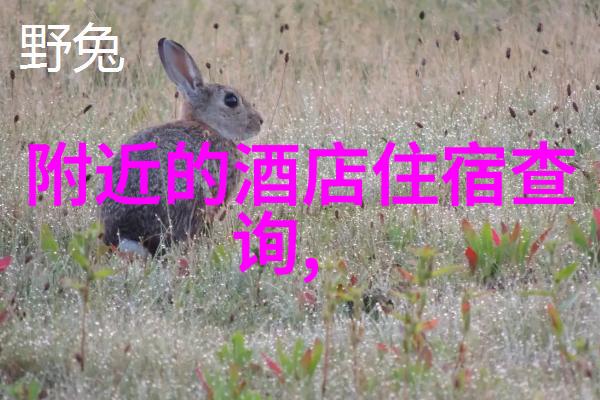 旅游作文400字四年级上册我的第一次旅行探索未知的世界