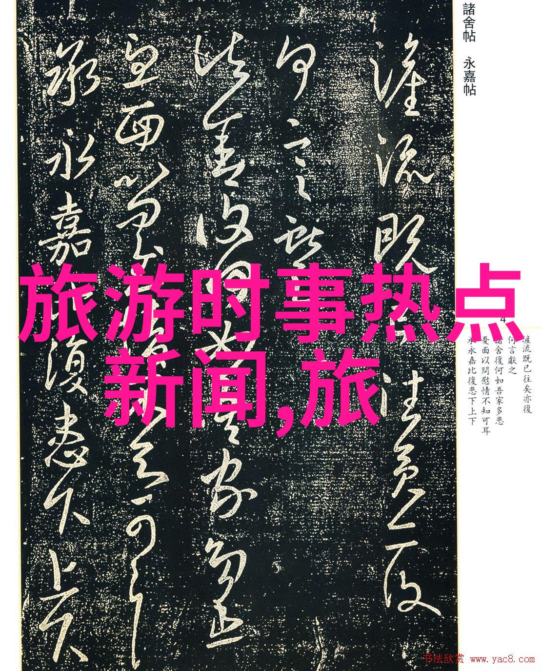 骑行人群特征研究动态社会学视角下的交通流分析