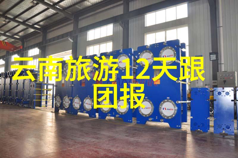 广州出境被劝退2022 - 逆流人潮广州年末出境旅行者遭遇意外劝退的故事