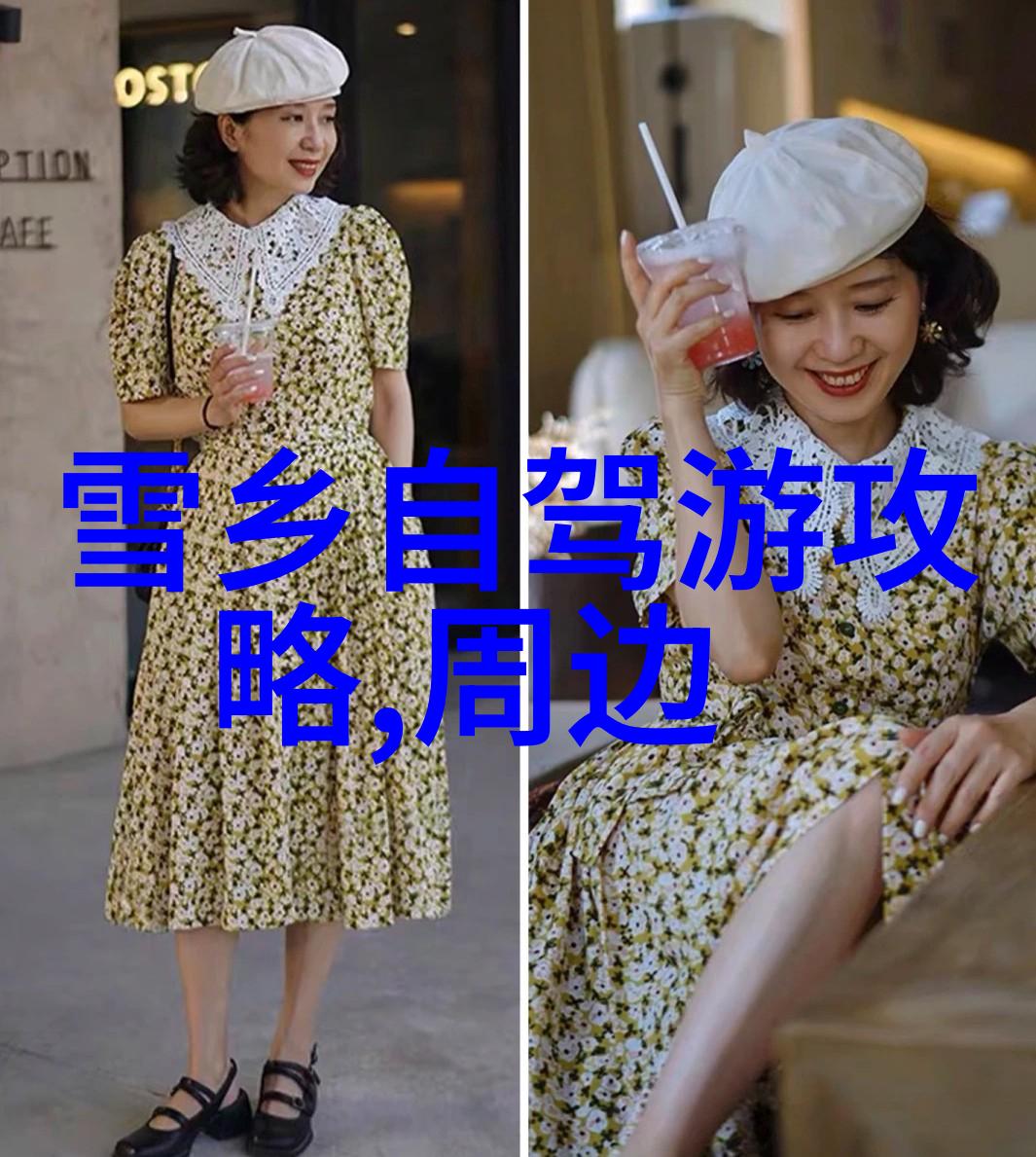 探索世界之旅轻松随心揭秘旅游软件的实用王者
