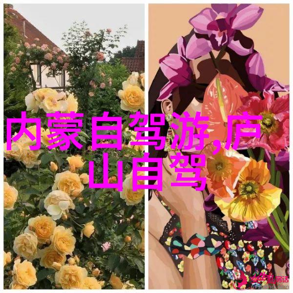 窃窃私语赵青老陈-岁月沉淀下的秘密花园