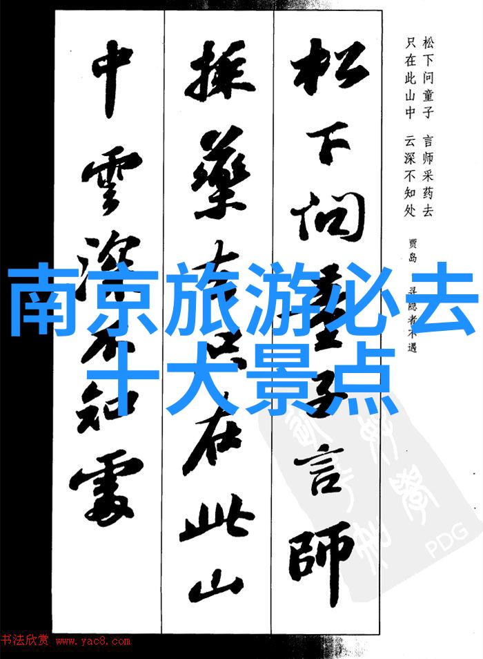夏日游记三岁小伙伴的探险之旅