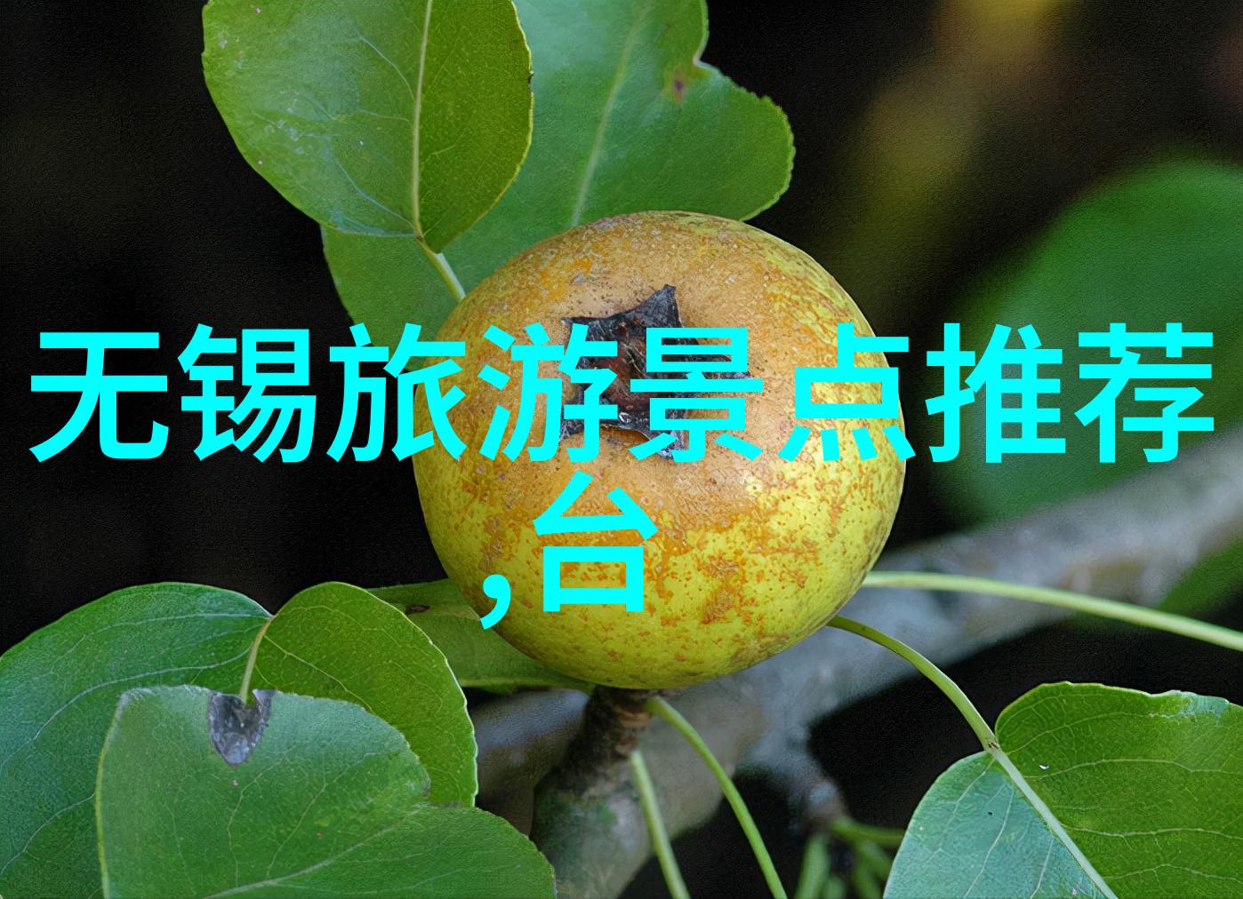 探秘中国揭秘6天最佳旅行目的地之谜