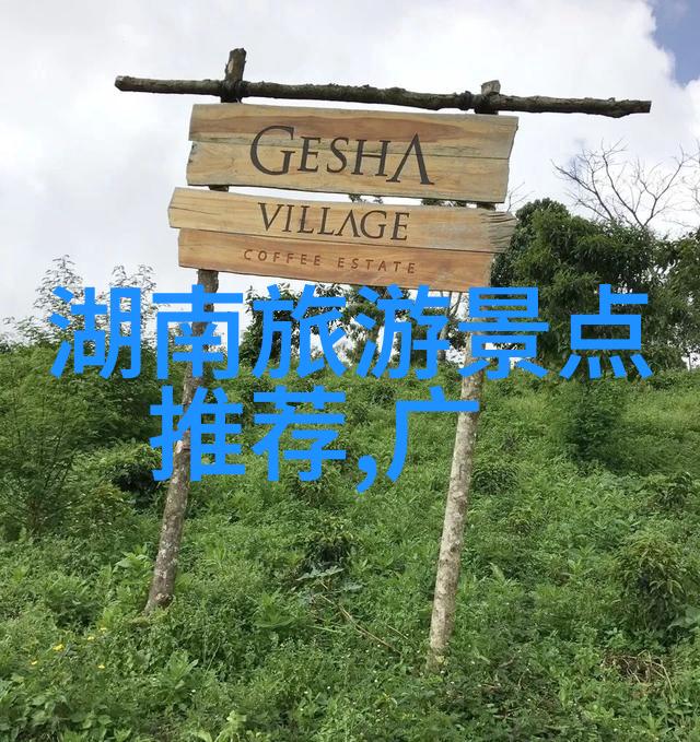 户外小游戏大全野餐挑战太阳能沙滩排球自然观察日记星空寻找游戏