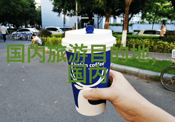美食短视频素材免费 - 味蕾上的艺术探索无价的美食创意世界