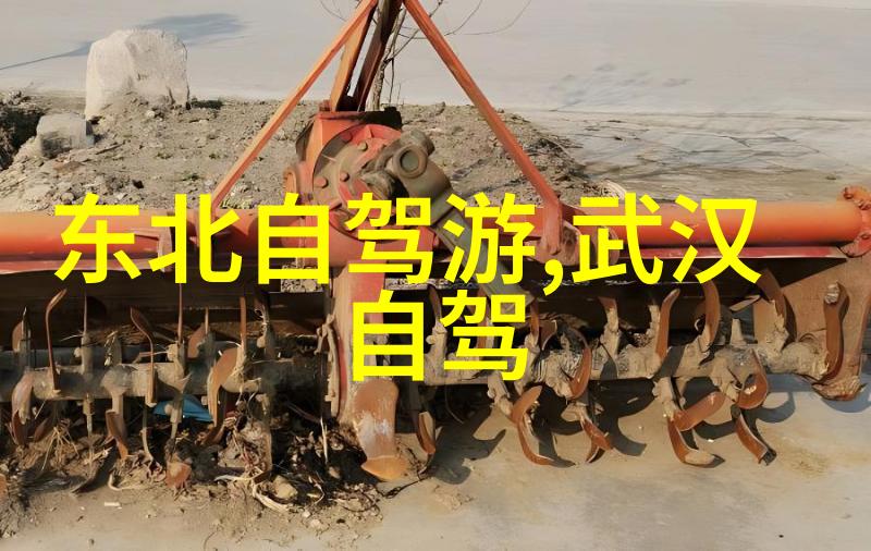 温暖的阳光在遥远的故乡缓缓升起带走了我在异国他乡的每一滴泪水
