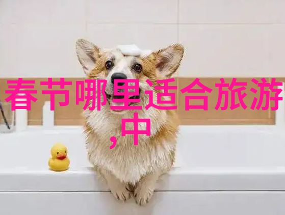 井冈湖