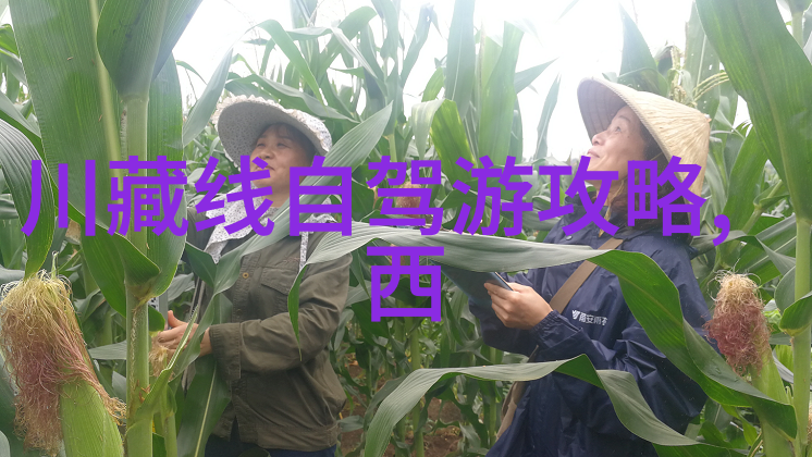 欢乐世界游乐器材多彩缤纷的游乐设备