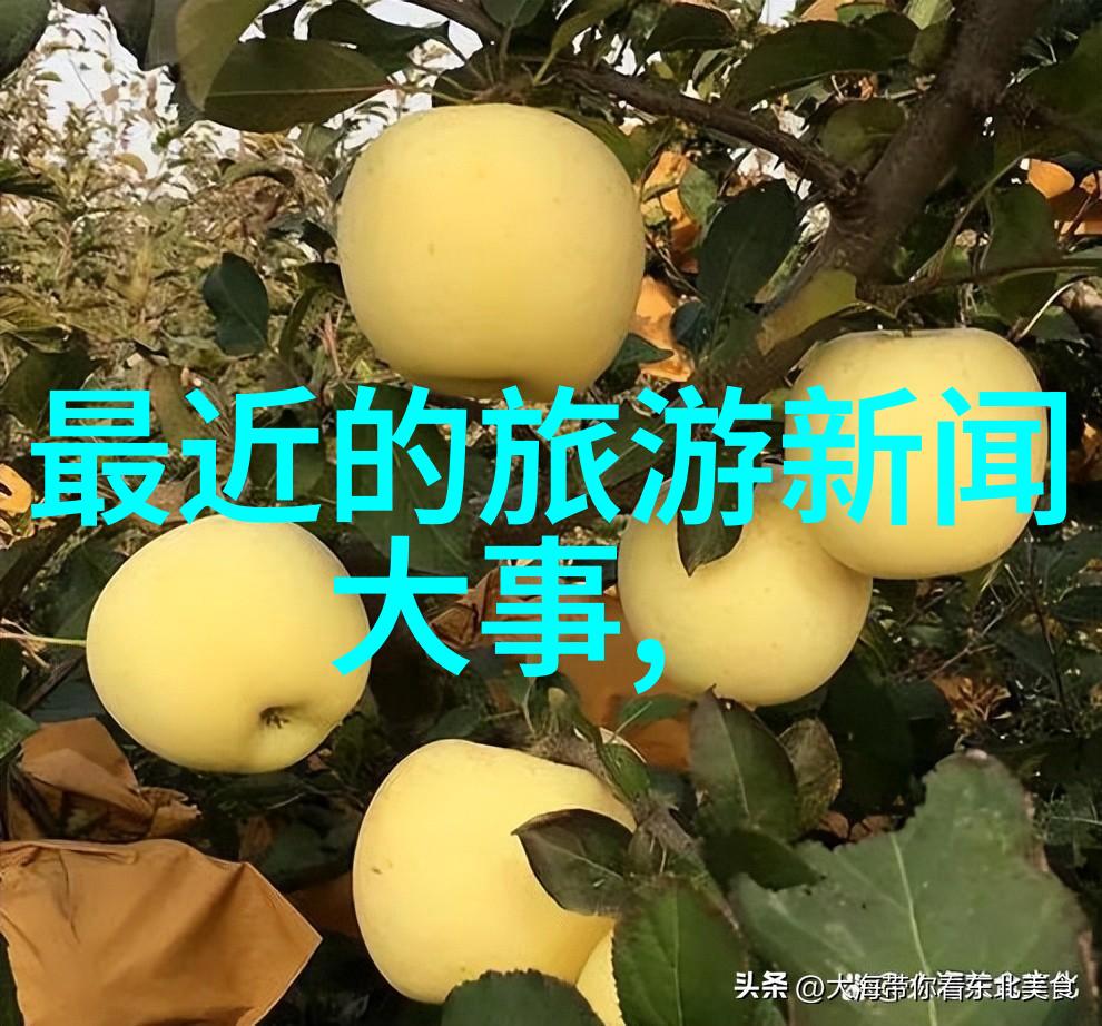 探索草原风情内蒙古的魅力之旅