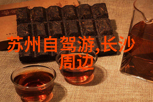 上海南京路美食攻略品味江南风情的金牌地标