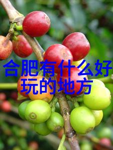 现在去哪里旅游好玩我眼中的最酷景点