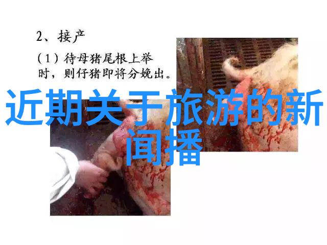 旅游团购寻找便宜的出游秘密地图