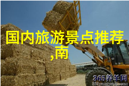 唐僧西天取经归来后如何面对在长安等待多年的师徒们的变化