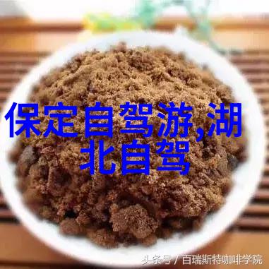 都市美食探秘哪个城市能让味蕾舞动