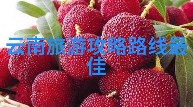 智慧游客如何在有限时间内体验真正的贵州风情
