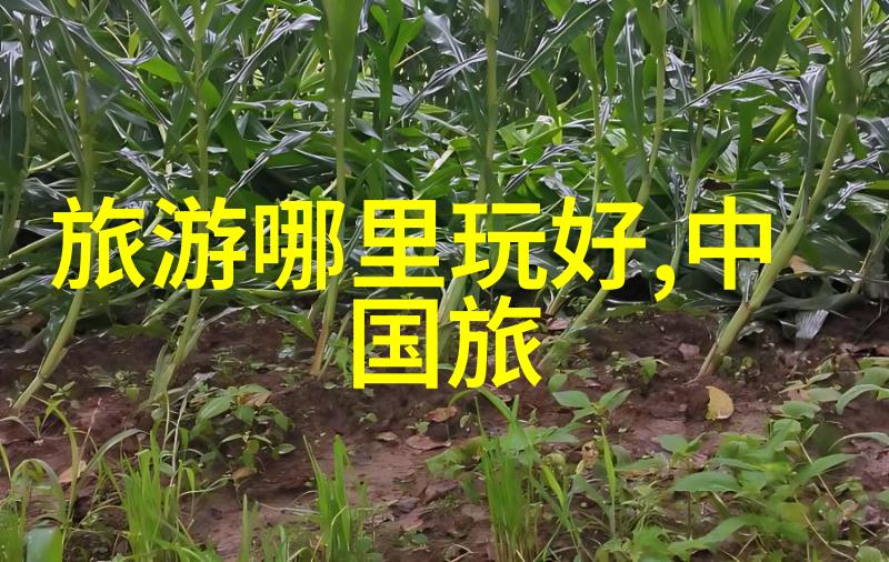 新春之旅揭秘十八年最热门目的地