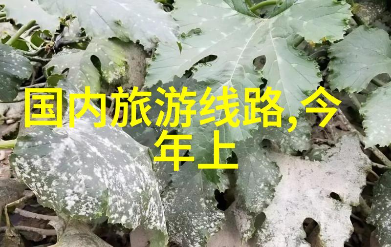 海上翠峦的自驾探索舟山之旅