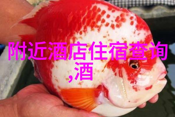 3132影视-梦想屏幕揭秘3132影视公司的电影制作秘诀