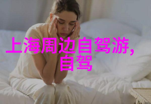 新纪元启航11月解锁的自由之门