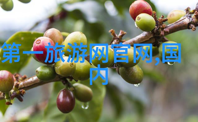 山地自行车模拟器我是不是也能骑上它的虚拟山坡