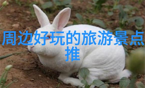 川藏线自驾游攻略我是如何征服那条神秘的高原之路的