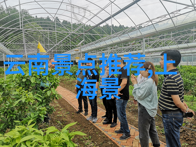 西北旅游详细攻略我来教你如何在西北探险从大理到敦煌的惊叹之旅