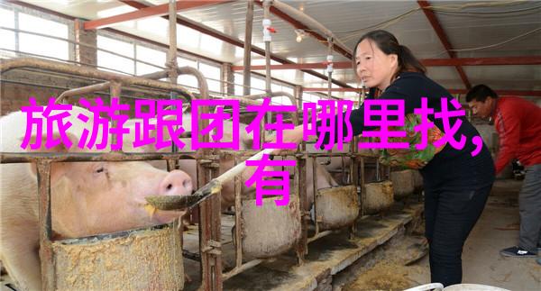 贵州最值得去的7个景点-探秘黔东南贵州省内七大绝佳旅游胜地