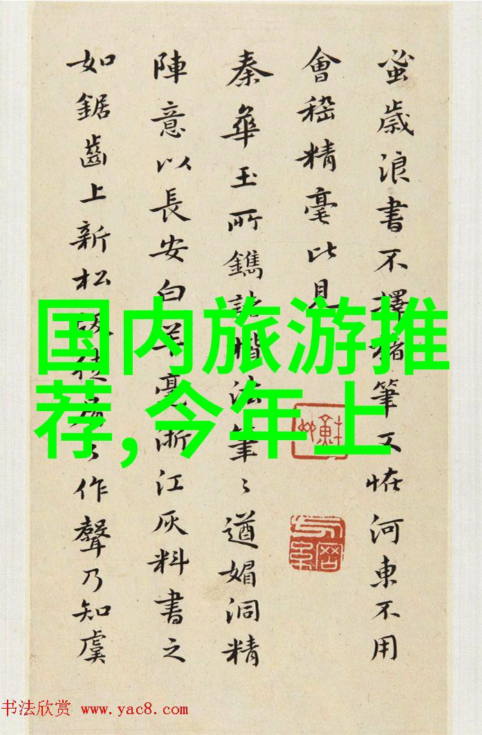 中国旅游业复苏势头疫情后首批国际游客抵达与新一代航空产品亮相