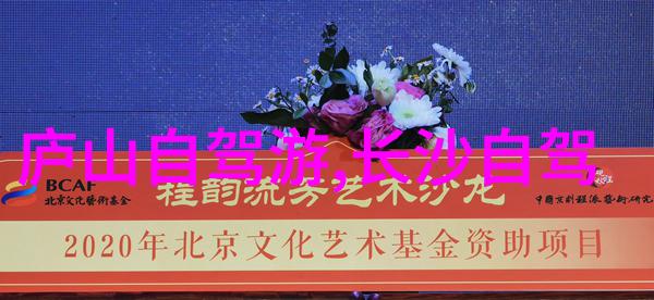 近期最新旅游热点新闻我带你去探秘这座迷失之城