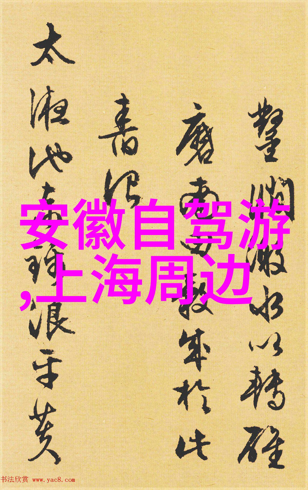 当年的抗议活动被捕捉到哪些令人印象深刻的瞬间图像中了