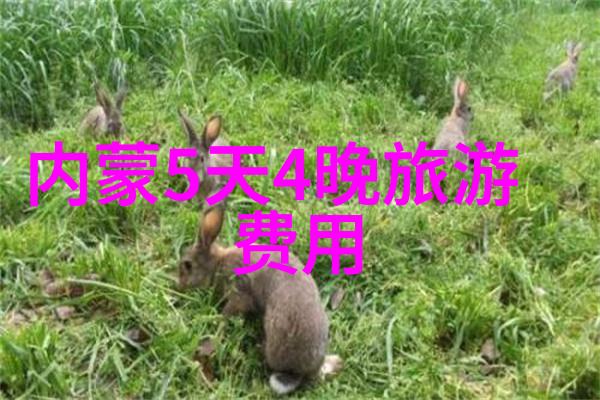家中藏宝图三人一室的秘密游戏