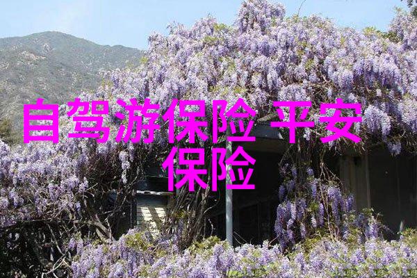 美食之旅品尝世界各地的特色美食
