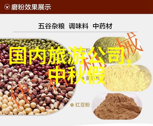 小巧友谊20厘米的客人非传统接待体验