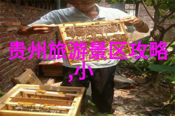 踏破边界2023年出境游的新篇章