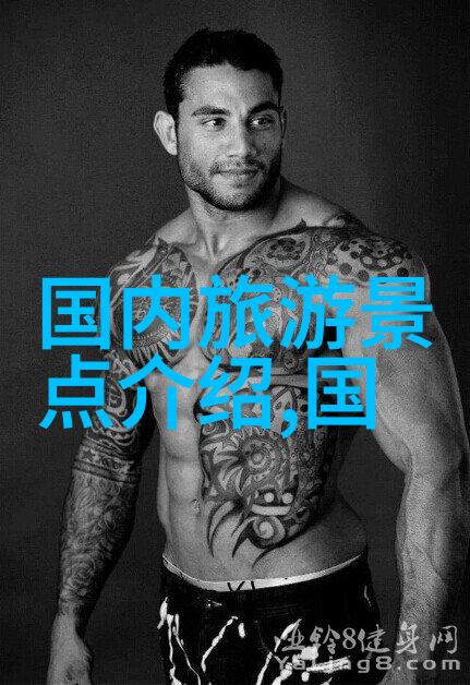 探索童真幼儿园户外活动100个精彩选择