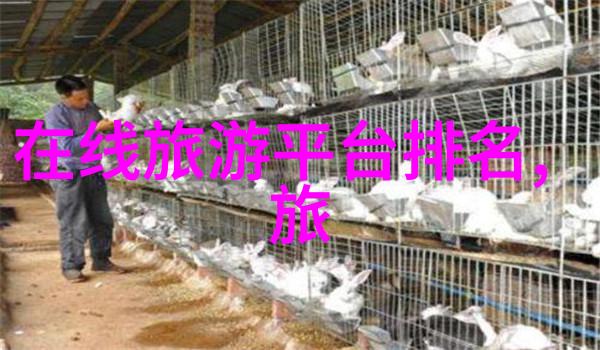 探索沪外美景周边自驾游的秘密篇章