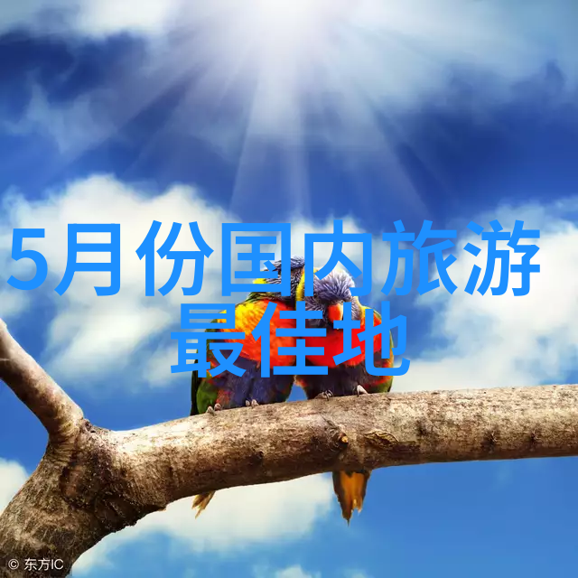 卡丁车-激情四射的赛道征程揭秘卡丁车世界锦标赛