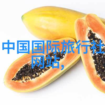游记我的五百字的旅行日记