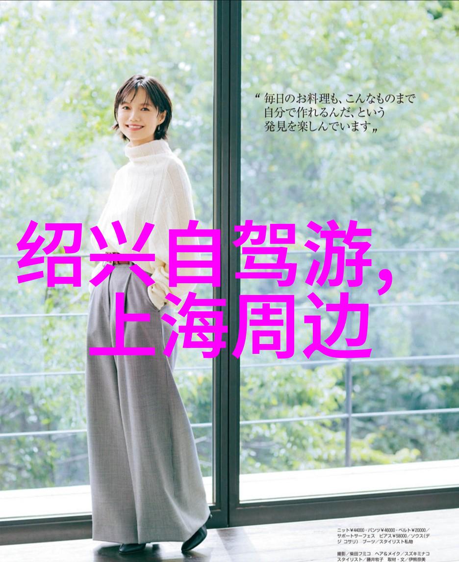 清穿之炮灰女配逆袭的无声旋律