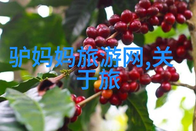 西游记之大圣归来俺们终于能见到唐僧师傅的英姿了