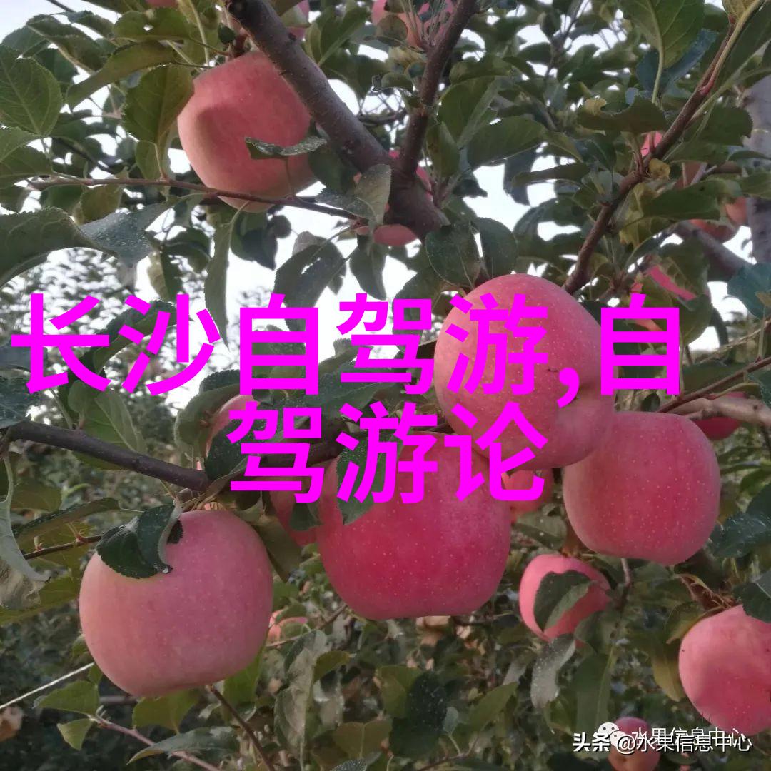 烟台一日游从繁华海岸到静谧山谷的反差之旅