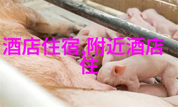 探秘我眼中的金字塔古老神秘的守卫者