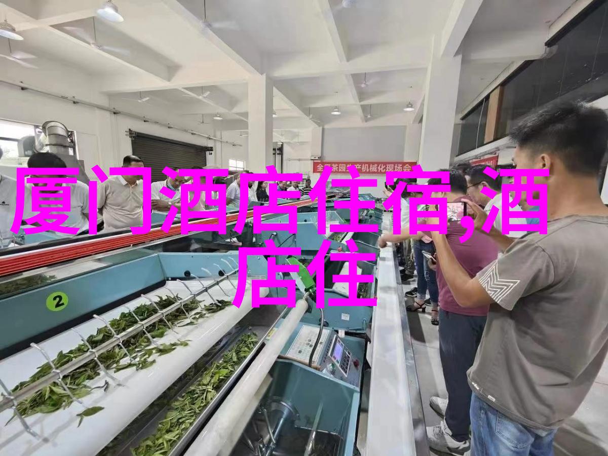 云南旅游路线之谜揭秘那些隐藏在人迹罕至的美景与文化深处