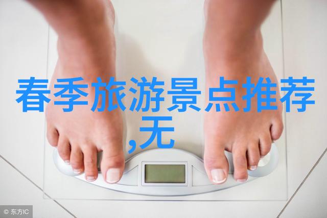 泉州古韵漫步探索历史与文化的自由行之旅
