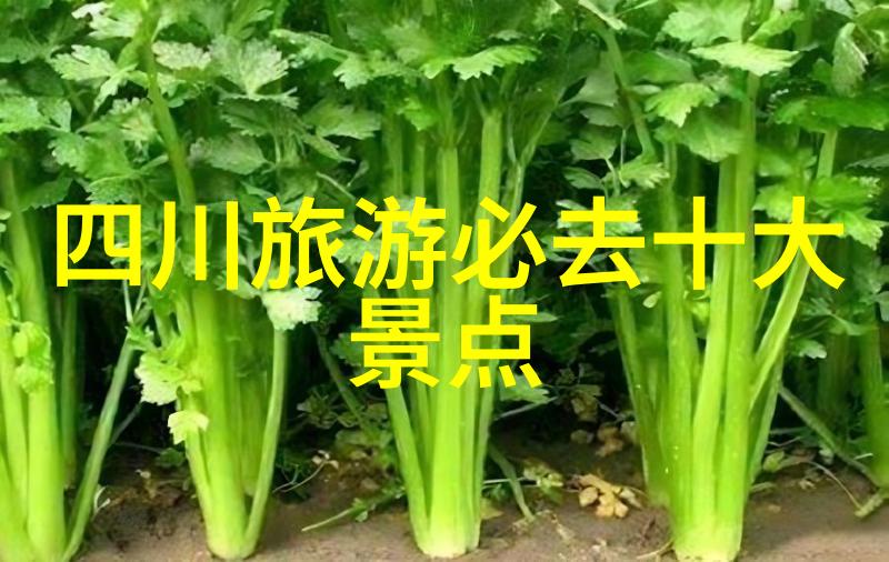 远方的足迹何去何从