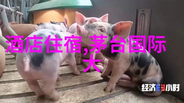 云南自驾游翠峦湖光的私人探险