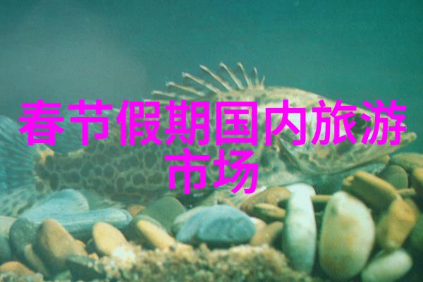 成都三日游必备锦里古街探秘
